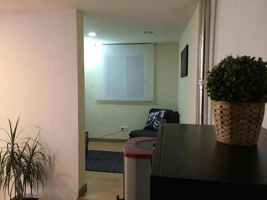My City House Apartment Bragança Екстериор снимка
